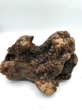 Burl Wood Sculpture Piece. Display your Art